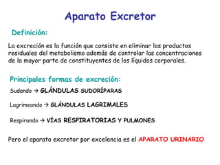 Aparato Excretor
La excreción es la función que consiste en eliminar los productos
residuales del metabolismo además de controlar las concentraciones
de la mayor parte de constituyentes de los líquidos corporales.
Definición:
Principales formas de excreción:
Sudando  GLÁNDULAS SUDORÍPARAS
Lagrimeando  GLÁNDULAS LAGRIMALES
Respirando  VÍAS RESPIRATORIAS Y PULMONES
Pero el aparato excretor por excelencia es el APARATO URINARIO
 