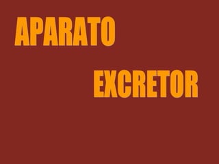 APARATO EXCRETOR 
