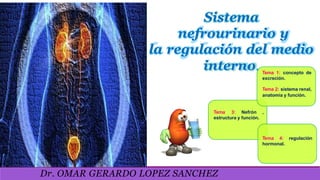 Sistema
nefrourinario y
la regulación del medio
interno.
Dr. OMAR GERARDO LOPEZ SANCHEZ
Tema 1: concepto de
excreción.
Tema 2: sistema renal,
anatomía y función.
Tema 3: Nefrón ,
estructura y función.
Tema 4: regulación
hormonal.
 