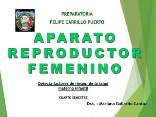 PREPARATORIA
FELIPE CARRILLO PUERTO
Dra. : Mariana Gallardo Cantúa
Detecta factores de riesgo, de la salud
materno infantil
CUARTO SEMESTRE
 