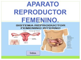APARATO
REPRODUCTOR
FEMENINO.
Índice.
 