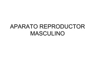 APARATO REPRODUCTOR MASCULINO 
