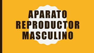 APARATO
REPRODUCTOR
MASCULINO
 