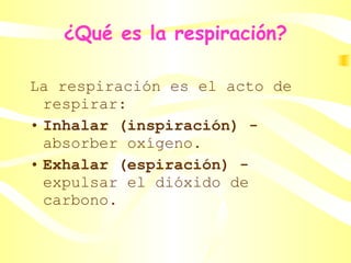 ¿Qué es la respiración? La respiración es el acto de respirar:  Inhalar (inspiración) -  absorber oxígeno.  Exhalar (espiración) -  expulsar el dióxido de carbono.  