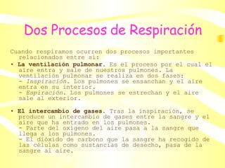 Dos Procesos de Respiración Cuando respiramos ocurren dos procesos importantes relacionados entre sí: •  La ventilación pulmonar . Es el proceso por el cual el aire entra y sale de nuestros pulmones. La ventilación pulmonar se realiza en dos fases: -  Inspiración . Los pulmones se ensanchan y el aire entra en su interior. -  Espiración . Los pulmones se estrechan y el aire sale al exterior. •  El intercambio de gases . Tras la inspiración, se produce un intercambio de gases entre la sangre y el aire que ha entrado en los pulmones. - Parte del oxígeno del aire pasa a la sangre que llega a los pulmones. - El dióxido de carbono que la sangre ha recogido de las células como sustancias de desecho, pasa de la sangre al aire. 