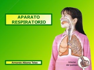 APARATO
RESPIRATORIO
Armando Albarez Telao
 