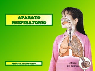 APARATO RESPIRATORIO Marife Lara Romero 