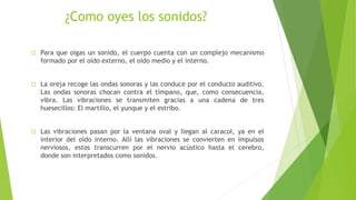 ¿Como oyes los sonidos?
 Para que oigas un sonido, el cuerpo cuenta con un complejo mecanismo
formado por el oído externo, el oído medio y el interno.
 La oreja recoge las ondas sonoras y las conduce por el conducto auditivo.
Las ondas sonoras chocan contra el tímpano, que, como consecuencia,
vibra. Las vibraciones se transmiten gracias a una cadena de tres
huesecillos: El martillo, el yunque y el estribo.
 Las vibraciones pasan por la ventana oval y llegan al caracol, ya en el
interior del oído interno. Allí las vibraciones se convierten en impulsos
nerviosos, estos transcurren por el nervio acústico hasta el cerebro,
donde son interpretados como sonidos.
 