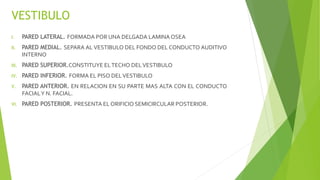 VESTIBULO
I. PARED LATERAL. FORMADA POR UNA DELGADA LAMINA OSEA
II. PARED MEDIAL. SEPARA AL VESTIBULO DEL FONDO DEL CONDUCTO AUDITIVO
INTERNO
III. PARED SUPERIOR.CONSTITUYE ELTECHO DELVESTIBULO
IV. PARED INFERIOR. FORMA EL PISO DELVESTIBULO
V. PARED ANTERIOR. EN RELACION EN SU PARTE MAS ALTA CON EL CONDUCTO
FACIALY N. FACIAL.
VI. PARED POSTERIOR. PRESENTA EL ORIFICIO SEMICIRCULAR POSTERIOR.
 
