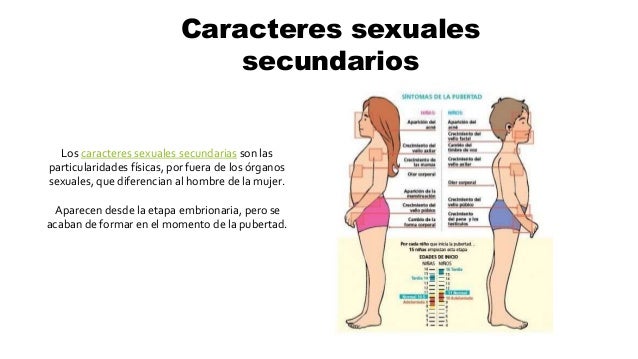Caracteres Sexuales Primarios Y Secundarios
