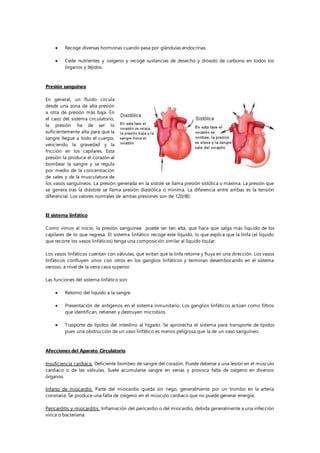  Recoge diversas hormonas cuando pasa por glándulas endocrinas.
 Cede nutrientes y oxígeno y recoge sustancias de desecho y dióxido de carbono en todos los
órganos y tejidos.
Presión sanguínea
En general, un fluido circula
desde una zona de alta presión
a otra de presión más baja. En
el caso del sistema circulatorio,
la presión ha de ser lo
suficientemente alta para que la
sangre llegue a todo el cuerpo,
venciendo la gravedad y la
fricción en los capilares. Esta
presión la produce el corazón al
bombear la sangre y se regula
por medio de la concentración
de sales y de la musculatura de
los vasos sanguíneos. La presión generada en la sístole se llama presión sistólica o máxima. La presión que
se genera tras la diástole se llama presión diastólica o mínima. La diferencia entre ambas es la tensión
diferencial. Los valores normales de ambas presiones son de 120/80.
El sistema linfático
Como vimos al inicio, la presión sanguínea puede ser tan alta, que hace que salga más líquido de los
capilares de lo que regresa. El sistema linfático recoge este líquido, lo que explica que la linfa (el líquido
que recorre los vasos linfáticos) tenga una composición similar al líquido tisular.
Los vasos linfáticos cuentan con válvulas, que evitan que la linfa retorne y fluya en una dirección. Los vasos
linfáticos confluyen unos con otros en los ganglios linfáticos y terminan desembocando en el sistema
venoso, a nivel de la vena cava superior.
Las funciones del sistema linfático son:
 Retorno del líquido a la sangre.
 Presentación de antígenos en el sistema inmunitario. Los ganglios linfáticos actúan como filtros
que identifican, retienen y destruyen microbios.
 Trasporte de lípidos del intestino al hígado. Se aprovecha el sistema para transporte de lípidos
pues una obstrucción de un vaso linfático es menos peligrosa que la de un vaso sanguíneo.
Afecciones del Aparato Circulatorio
Insuficiencia cardiaca. Deficiente bombeo de sangre del corazón. Puede deberse a una lesión en el músculo
cardiaco o de las válvulas. Suele acumularse sangre en venas y provoca falta de oxígeno en diversos
órganos.
Infarto de miocardio. Parte del miocardio queda sin riego, generalmente por un trombo en la arteria
coronaria. Se produce una falta de oxígeno en el músculo cardiaco que no puede generar energía.
Pericarditis y miocarditis. Inflamación del pericardio o del miocardio, debida generalmente a una infección
vírica o bacteriana.
 