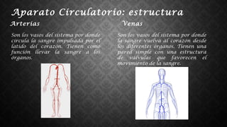Aparato Circulatorio: estructura
Arterias
Son los vasos del sistema por donde
circula la sangre impulsada por el
latido del corazón. Tienen como
función llevar la sangre a los
órganos.
Venas
Son los vasos del sistema por donde
la sangre vuelva al corazón desde
los diferentes órganos. Tienen una
pared simple con una estructura
de válvulas que favorecen el
movimiento de la sangre.
 