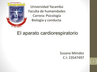1
El aparato cardiorespiratorio
Universidad Yacambú
Faculta de humanidades
Carrera: Psicología
Biología y conducta
Susana Méndez
C.I: 23547497
 
