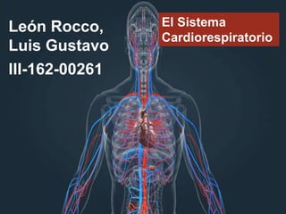 El Sistema
Cardiorespiratorio
León Rocco,
Luis Gustavo
III-162-00261
 