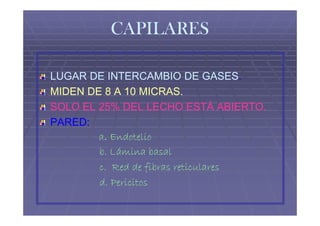CAPILARES

LUGAR DE INTERCAMBIO DE GASES.  GASES.
MIDEN DE 8 A 10 MICRAS.
SOLO EL 25% DEL LECHO ESTÁ ABIERTO.
PARED:
        a. Endotelio
        b. Lámina basal
        c. Red de fibras reticulares
        d. Pericitos
 