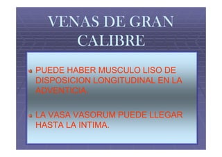 VENAS DE GRAN
     CALIBRE
PUEDE HABER MUSCULO LISO DE
DISPOSICION LONGITUDINAL EN LA
ADVENTICIA.

LA VASA VASORUM PUEDE LLEGAR
HASTA LA INTIMA.
 