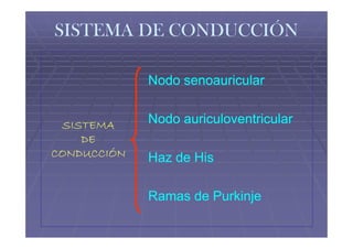 SISTEMA DE CONDUCCIÓN

             Nodo senoauricular


 SISTEMA     Nodo auriculoventricular
    DE
CONDUCCIÓN   Haz de His

             Ramas de Purkinje
 