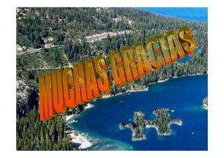 Aparato cardiovascular