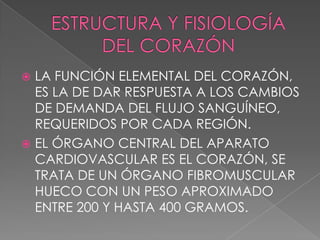  LA FUNCIÓN ELEMENTAL DEL CORAZÓN,
  ES LA DE DAR RESPUESTA A LOS CAMBIOS
  DE DEMANDA DEL FLUJO SANGUÍNEO,
  REQUERIDOS POR CADA REGIÓN.
 EL ÓRGANO CENTRAL DEL APARATO
  CARDIOVASCULAR ES EL CORAZÓN, SE
  TRATA DE UN ÓRGANO FIBROMUSCULAR
  HUECO CON UN PESO APROXIMADO
  ENTRE 200 Y HASTA 400 GRAMOS.
 