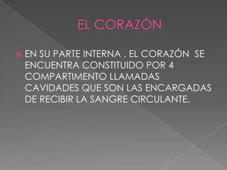    EN SU PARTE INTERNA , EL CORAZÓN SE
    ENCUENTRA CONSTITUIDO POR 4
    COMPARTIMENTO LLAMADAS
    CAVIDADES QUE SON LAS ENCARGADAS
    DE RECIBIR LA SANGRE CIRCULANTE.
 