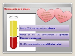 Composición de a sangre:




              Casi el 55% corresponden al plasma


              Menos   de   un   1%   corresponden   a   glóbulos
              blancos y plaquetas.


              El 45% corresponden a los glóbulos rojos.
 