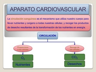 La circulación sanguínea es el mecanismo que utiliza nuestro cuerpo para
llevar nutrientes y oxígeno a todas nuestras células; y recoger los productos
de desecho resultantes de la transformación de los nutrientes en energía.


                              CIRCULACIÓN



         Proporciona                                       Recoge de
         a las células                                     las células



             O2                                              CO2

       Nutrientes                                        Desechos
 