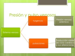 Presión y pulso venosos
Sistema venoso
turgencia
Presión venosa
sistémica
pulsaciones
Traducción visible
de ciclo cardíaco
y sus alteraciones
 