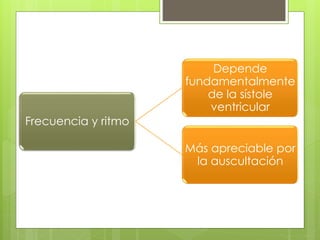 Frecuencia y ritmo
Depende
fundamentalmente
de la sístole
ventricular
Más apreciable por
la auscultación
 