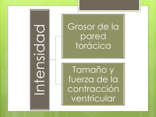 Intensidad
Grosor de la
pared
torácica
Tamaño y
fuerza de la
contracción
ventricular
 