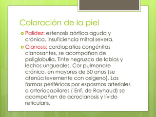 Coloración de la piel
 Palidez: estenosis aórtica aguda y
crónica, insuficiencia mitral severa.
 Cianosis: cardiopatías congénitas
cianosantes, se acompañan de
poliglobulia. Tinte negruzco de labios y
lechos ungueales. Cor pulmonare
crónico, en mayores de 50 años (se
atenúa levemente con oxígeno). Las
formas periféricas por espasmos arteriales
o arteriocapilares ( Enf. de Raynaud) se
acompañan de acrocianosis y lívido
reticularis.
 