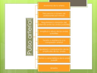 Pulsoarterial
Anatomía de la arteria
Frecuencia o número de
pulsaciones por minuto
Regularidad o duración del
intervalo entre las ondas pulsátiles
Amplitud o altura de las ondas
pulsátiles
Tensión o resistencia a la
compresión arterial
Igualdad o comparación de las
amplitudes de las ondas
Forma o característica de la onda
pulsátil
Simetría
 