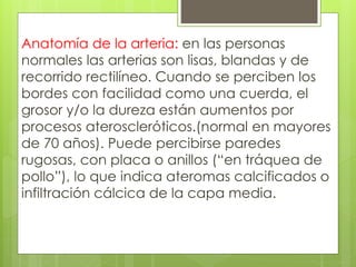 Anatomía de la arteria: en las personas
normales las arterias son lisas, blandas y de
recorrido rectilíneo. Cuando se perciben los
bordes con facilidad como una cuerda, el
grosor y/o la dureza están aumentos por
procesos ateroscleróticos.(normal en mayores
de 70 años). Puede percibirse paredes
rugosas, con placa o anillos (“en tráquea de
pollo”), lo que indica ateromas calcificados o
infiltración cálcica de la capa media.
 