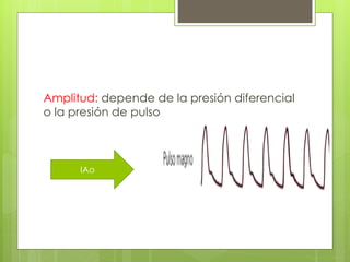 Amplitud: depende de la presión diferencial
o la presión de pulso
IAo
 