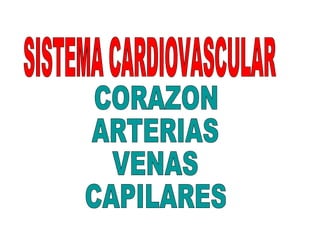 SISTEMA CARDIOVASCULAR CORAZON ARTERIAS VENAS CAPILARES 