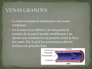 VÁLVULAS VENOSAS 