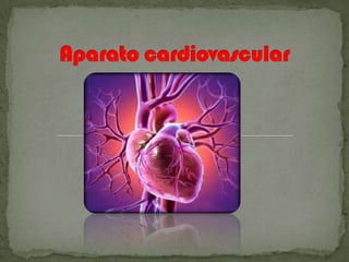 Aparato cardiovascular 