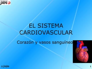 Corazón y vasos sanguíneos EL SISTEMA CARDIOVASCULAR 