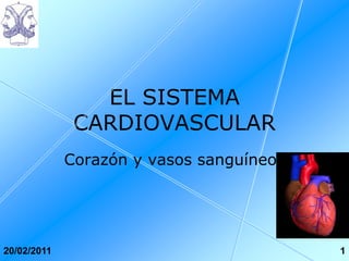 EL SISTEMA
              CARDIOVASCULAR
             Corazón y vasos sanguíneos




20/02/2011                                1
 