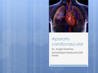 Aparato cardiovascular  Dr. Angel Martínez Universidad Mexicana Del Norte 