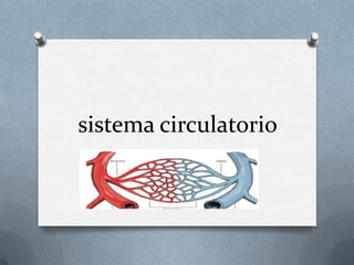 sistema circulatorio
 