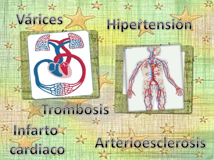 Enfermedades del Aparato Circulatorio en el ser humano.