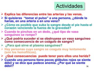 Actividades Explica las diferencias entre las arterias y las venas.   Si quisieras  “tomar el pulso” a una persona, ¿dónde lo harías, en una arteria o en una vena?   ¿Cómo es posible que suba la sangre desde el pie hasta el corazón venciendo la fuerza de la gravedad?   Cuando te pinchas en un dedo, ¿qué tipo de vaso sanguíneo se rompe?   ¿Qué podría suceder si se obstruyese un vaso sanguíneo como consecuencia de un coágulo de sangre? ¿Para qué sirve el plasma sanguíneo?  Hay personas cuya sangre se coagula muy lentamente (son los hemofílicos). ¿Qué consecuencias  puede tener para ellos una herida?   Cuando una persona tiene pocos glóbulos rojos se siente débil y se dice que padece anemia. ¿Por qué se siente débil? 