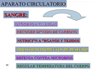 APARATO CIRCULATORIO OXÍGENO A CÉLULAS RECOGER DIÓXIDO DE CARBONO  NUTRICIÓN A ÓRGANOS Y TEJIDOS ARRASTRAR PRODUCTOS DE DESECHO DEFENSA CONTRA MICROBIOS REGULAR TEMPERATURA DEL CUERPO SANGRE : 10 