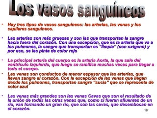 Hay tres tipos de vasos sanguíneos: las arterias, las venas y los capilares sanguíneos. Las arterias son más gruesas y son las que transportan la sangre hacia fuera del corazón. Con una excepción, que es la arteria que va a los pulmones, la sangre que transportan es “limpia” (con oxígeno) y por eso, se les pinta de color rojo La principal arteria del cuerpo es la arteria Aorta, la que sale del ventrículo izquierdo, que luego se ramifica muchas veces para llegar a todo el cuerpo. Las venas son conductos de menor espesor que las arterias, que llevan sangre al corazón. Con la excepción de las venas que llegan desde los pulmones, transportan sangre “sucia” que se representa de color azul Las venas más grandes son las venas Cavas que son el resultado de la unión de todas las otras venas que, como si fueran afluentes de un río, van formando un gran río, que son las cavas, que desembocan en el corazón.   Los vasos sanguíneos 