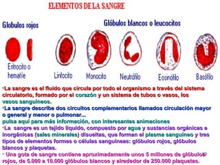 La sangre es el fluido que circula por todo el organismo a través del sistema circulatorio, formado por el  corazón  y un sistema de tubos o vasos, los  vasos sanguíneos . La sangre describe dos circuitos complementarios llamados circulación mayor o general y menor o pulmonar...  pulsa aquí para más información, con interesantes animaciones La  sangre es un tejido líquido, compuesto por  agua  y sustancias orgánicas e inorgánicas ( sales minerales ) disueltas, que forman el  plasma sanguíneo  y tres tipos de elementos formes o células sanguíneas: glóbulos rojos, glóbulos blancos y plaquetas . Una gota de sangre contiene aproximadamente unos 5 millones de glóbulos rojos, de 5.000 a 10.000 glóbulos blancos y alrededor de 250.000 plaquetas. 