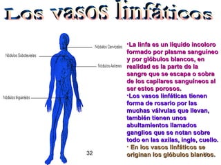 La linfa es un líquido incoloro formado por plasma sanguíneo y por glóbulos blancos, en realidad es la parte de la sangre que se escapa o sobra de los capilares sanguíneos al ser estos porosos.   Los vasos linfáticas tienen forma de rosario por las muchas válvulas que llevan, también tienen unos abultamientos llamados ganglios que se notan sobre todo en las axilas, ingle, cuello.   En los vasos linfáticos se originan los glóbulos blancos.  Los vasos linfáticos 32 