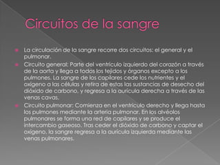 Circuitos de la sangreLa circulación de la sangre recorre dos circuitos: el general y el pulmonar.Circuito general: Parte del ventrículo izquierdo del corazón a través de la aorta y llega a todos los tejidos y órganos excepto a los pulmones. La sangre de los capilares cede los nutrientes y el oxígeno a las células y retira de estas las sustancias de desecho del dióxido de carbono, y regresa a la aurícula derecha a través de las venas cavas.Circuito pulmonar: Comienza en el ventrículo derecho y llega hasta los pulmones mediante la arteria pulmonar. En los alvéolos pulmonares se forma una red de capilares y se produce el intercambio gaseoso. Tras ceder el dióxido de carbono y captar el oxígeno, la sangre regresa a la aurícula izquierda mediante las venas pulmonares.
