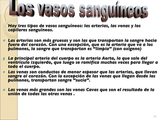 Hay tres tipos de vasos sanguíneos: las arterias, las venas y los capilares sanguíneos. Las arterias son más gruesas y son las que transportan la sangre hacia fuera del corazón. Con una excepción, que es la arteria que va a los pulmones, la sangre que transportan es “limpia” (con oxígeno) La principal arteria del cuerpo es la arteria Aorta, la que sale del ventrículo izquierdo, que luego se ramifica muchas veces para llegar a todo el cuerpo. Las venas son conductos de menor espesor que las arterias, que llevan sangre al corazón. Con la excepción de las venas que llegan desde los pulmones, transportan sangre “sucia”. Las venas más grandes son las venas Cavas que son el resultado de la unión de todas las otras venas .   Los vasos sanguíneos 