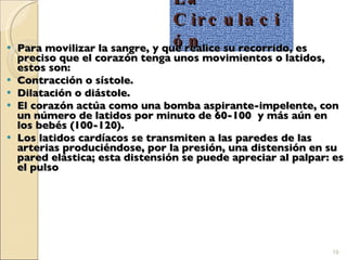 La Circulación Para movilizar la sangre, y que realice su recorrido, es preciso que el corazón tenga unos movimientos o latidos, estos son: Contracción o sístole.  Dilatación o diástole.  El corazón actúa como una bomba aspirante-impelente, con un número de latidos por minuto de 60-100  y más aún en los bebés (100-120). Los latidos cardíacos se transmiten a las paredes de las arterias produciéndose, por la presión, una distensión en su pared elástica; esta distensión se puede apreciar al palpar: es el pulso 