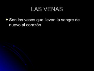 LAS VENAS Son los vasos que llevan la sangre de nuevo al corazón 